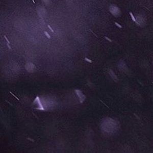 Meet your Posher, Bailey